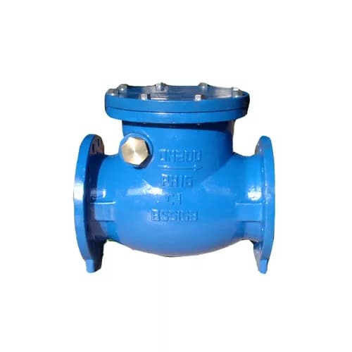 BS5153 Swing Check Valve