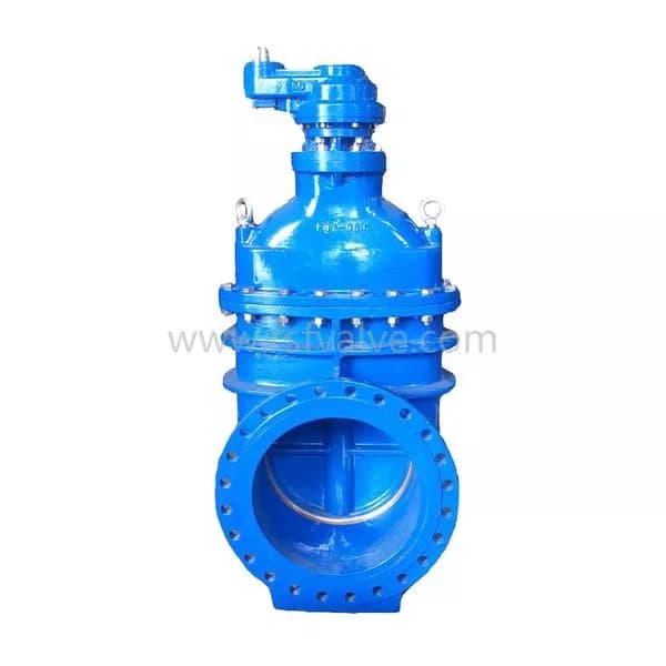 BS5163 Metal Seat Gate Valve with Bypass