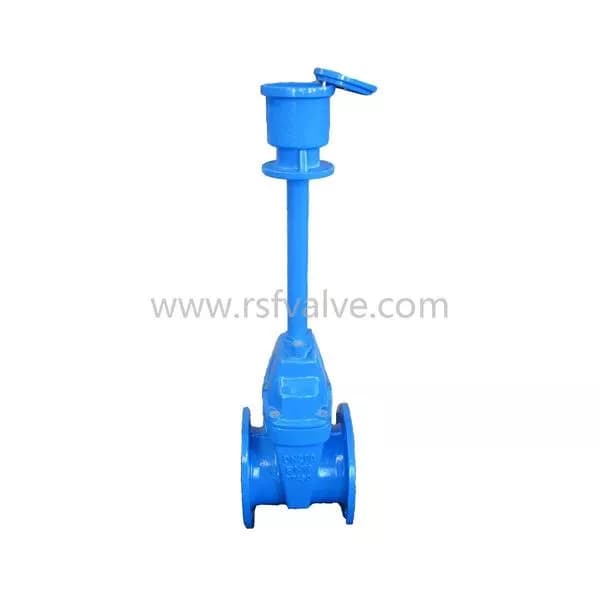 Stem Extension Resilient Gate Valve with Surface Box